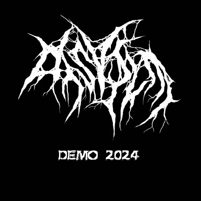 Demo 2024 cover