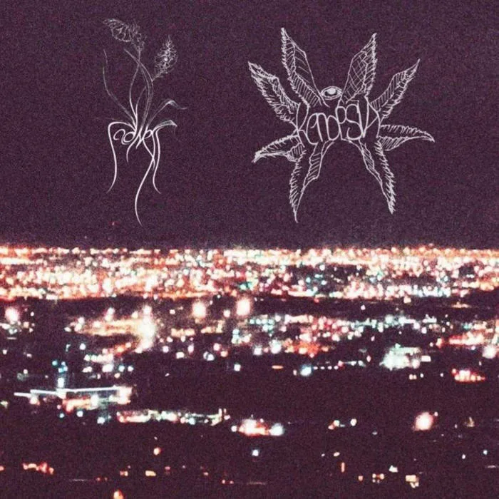 Summerset Streetlights cover