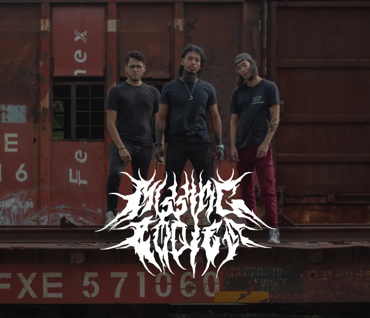 Cuerpos perdidos cover