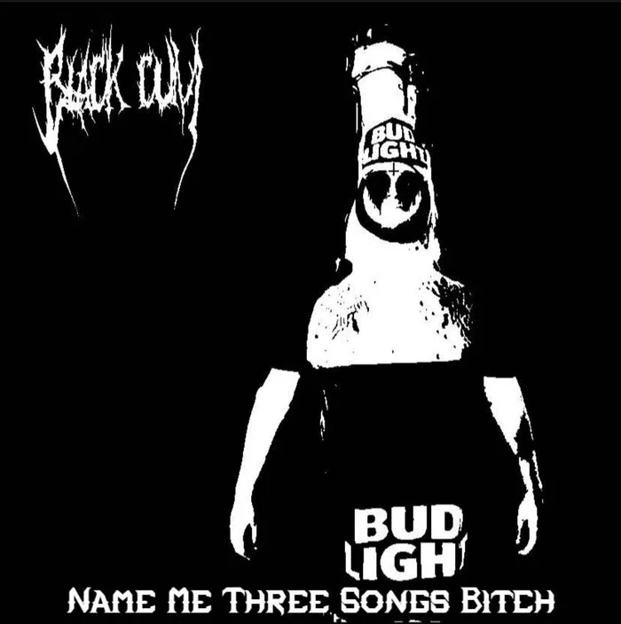 Name Me Three Songs Bitch cover