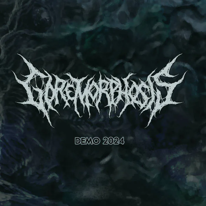 Demo 2024 cover