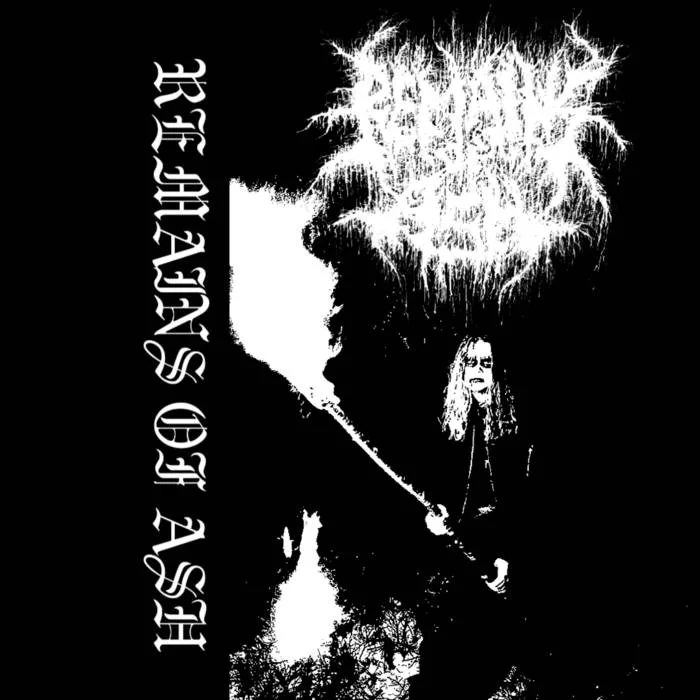 Demo II cover
