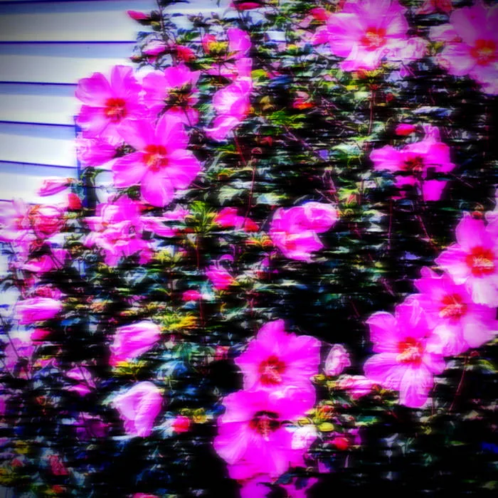 Disappearing into April Skies, to Be Found Gazing at the Sunset cover