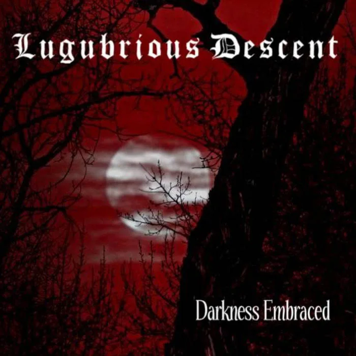 Darkness Embraced cover