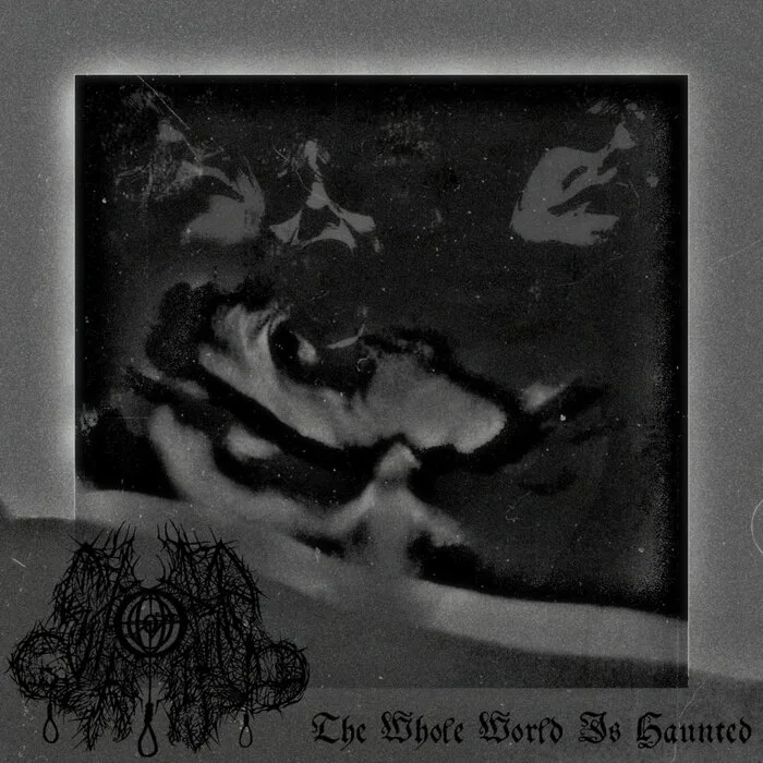 The Whole World Is Haunted cover