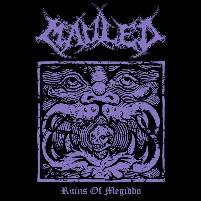 Ruins of Megiddo cover
