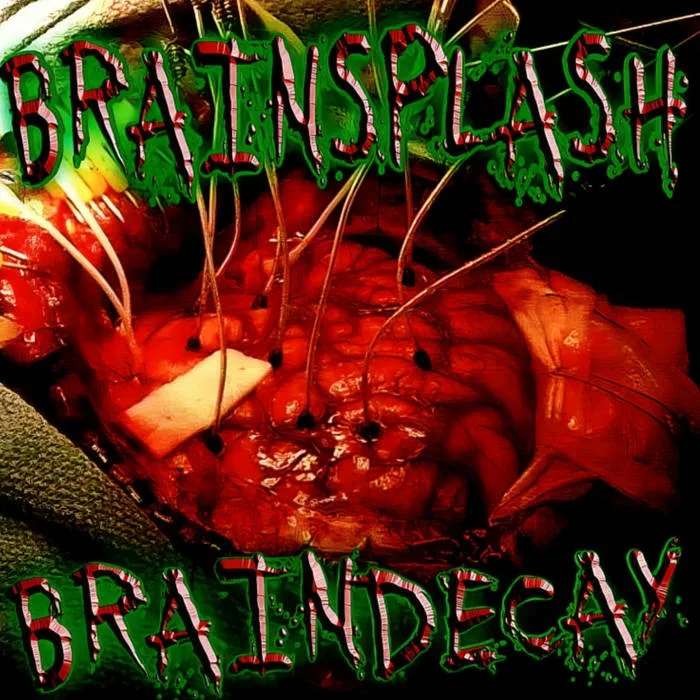 Brain Decay cover