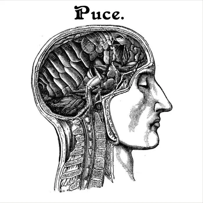 Puce cover