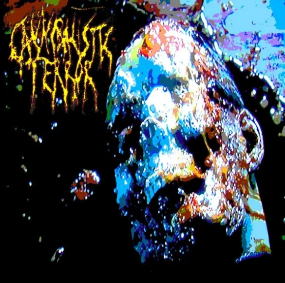 Melting Skin Veils the Liquified Flesh cover