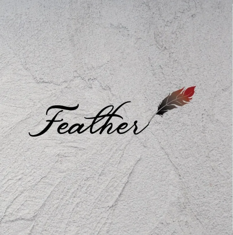 Feather cover