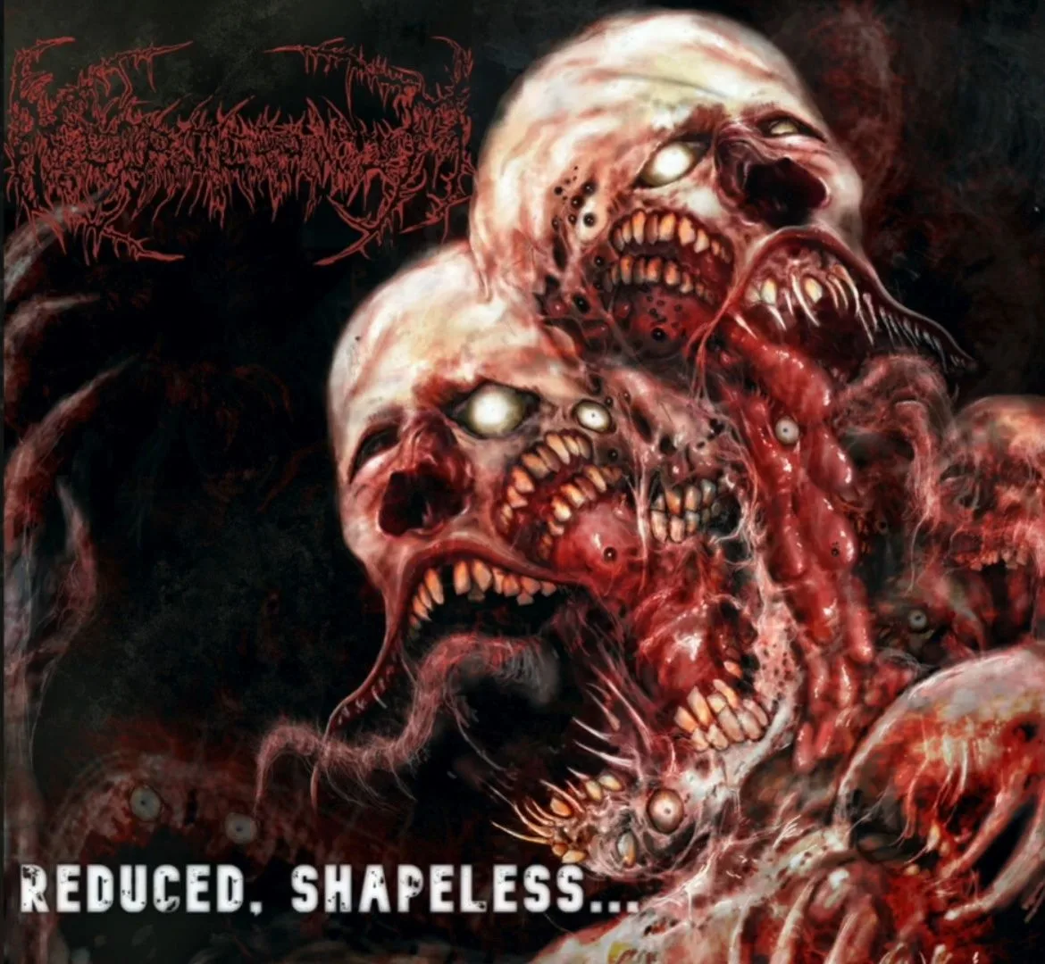 Reduced, Shapeless... cover