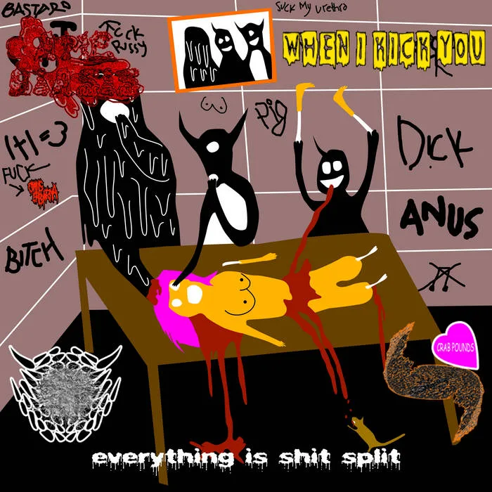 Everything Is Shit Split cover
