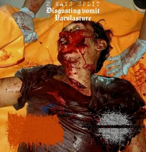 2 Ways Split Disgusting Vomit Vaculasture cover