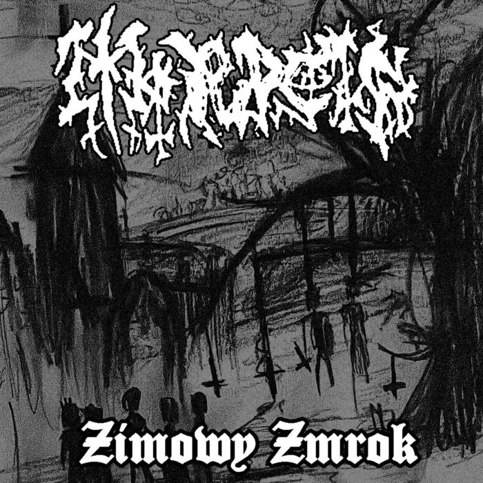 Zimowy zmrok cover