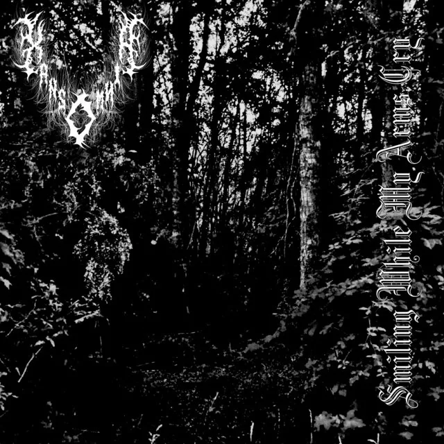 Smiling While My Arms Cry cover