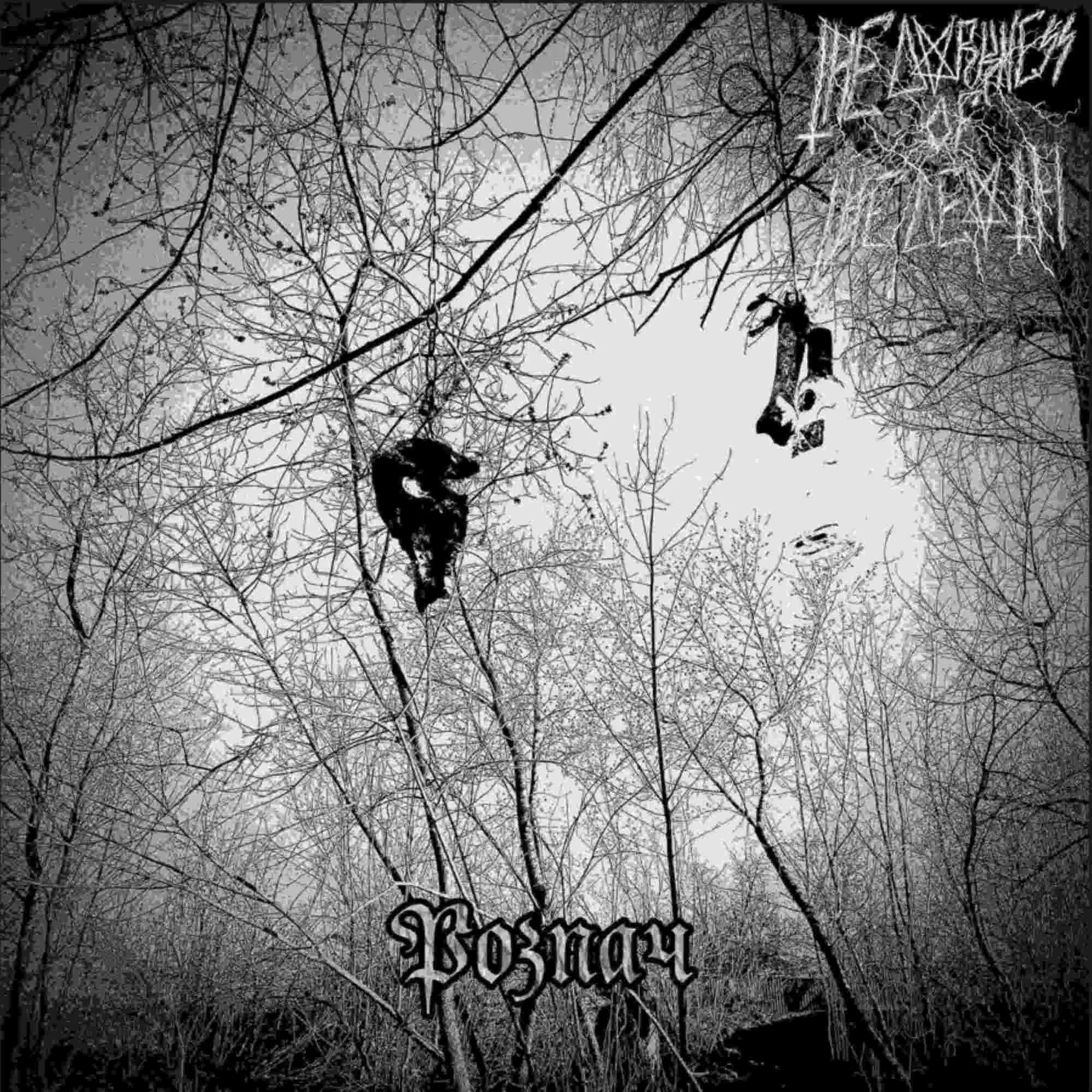 Розпач cover