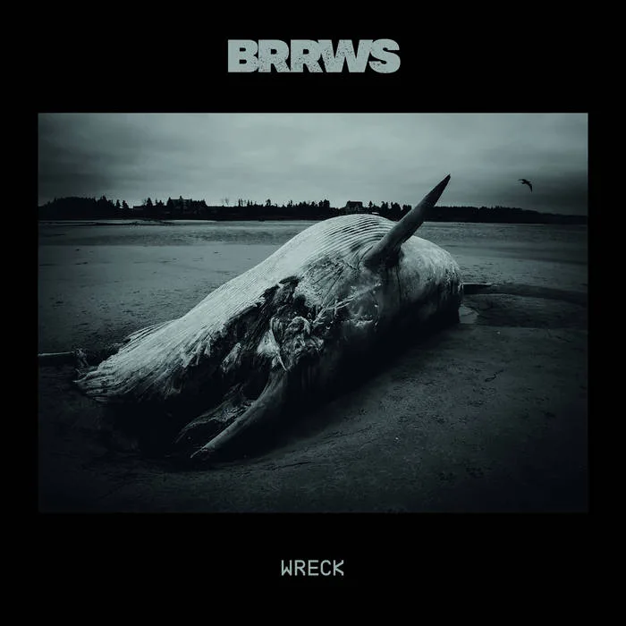 Wreck cover