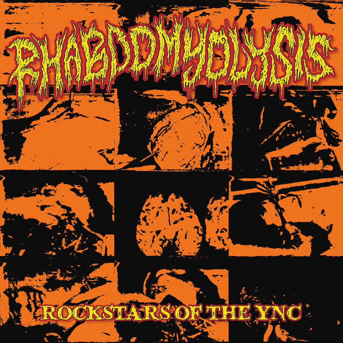 Rockstars of the YNC cover