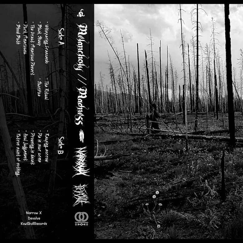 Melancholy​ // ​Madness cover