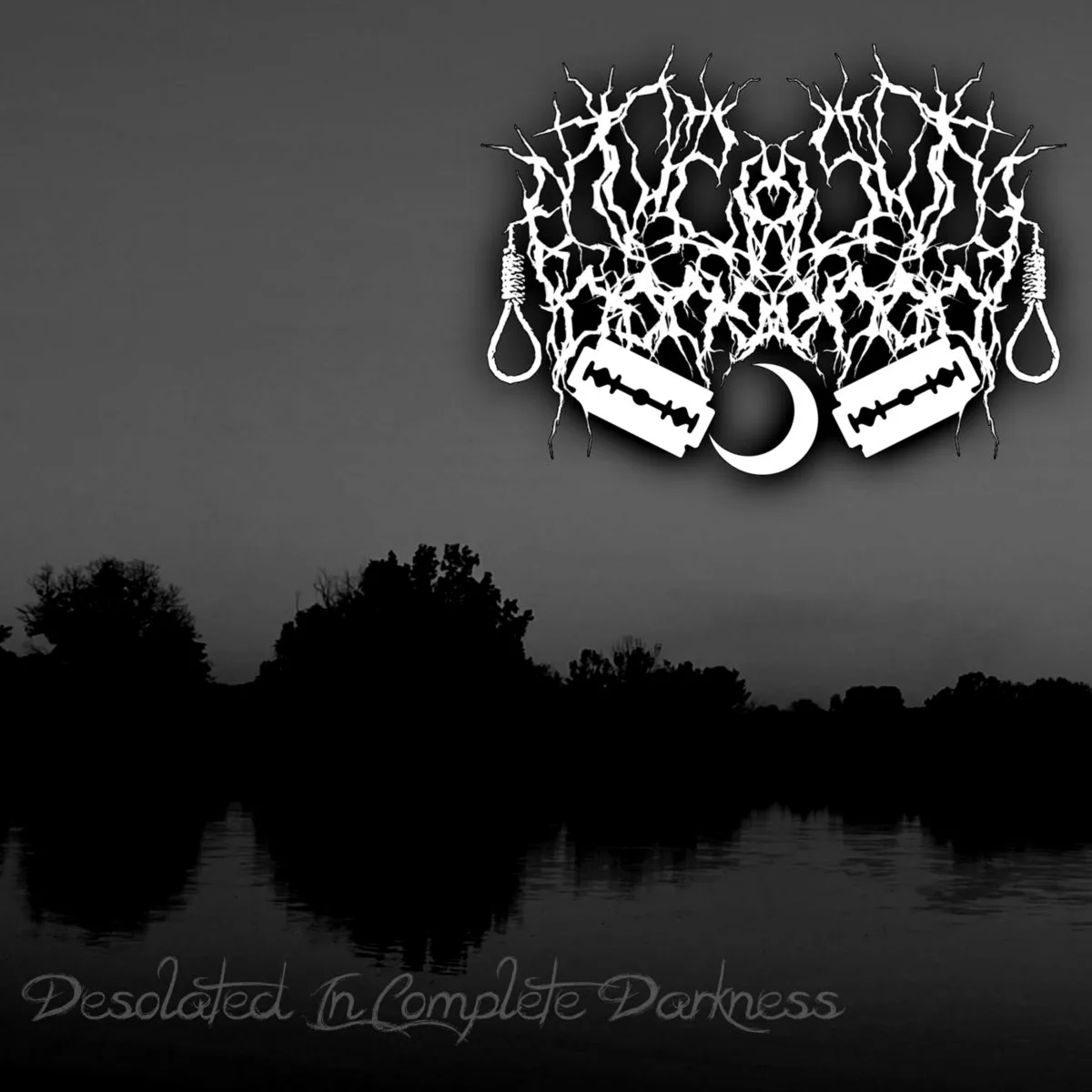 Desolated in Complete Darkness cover