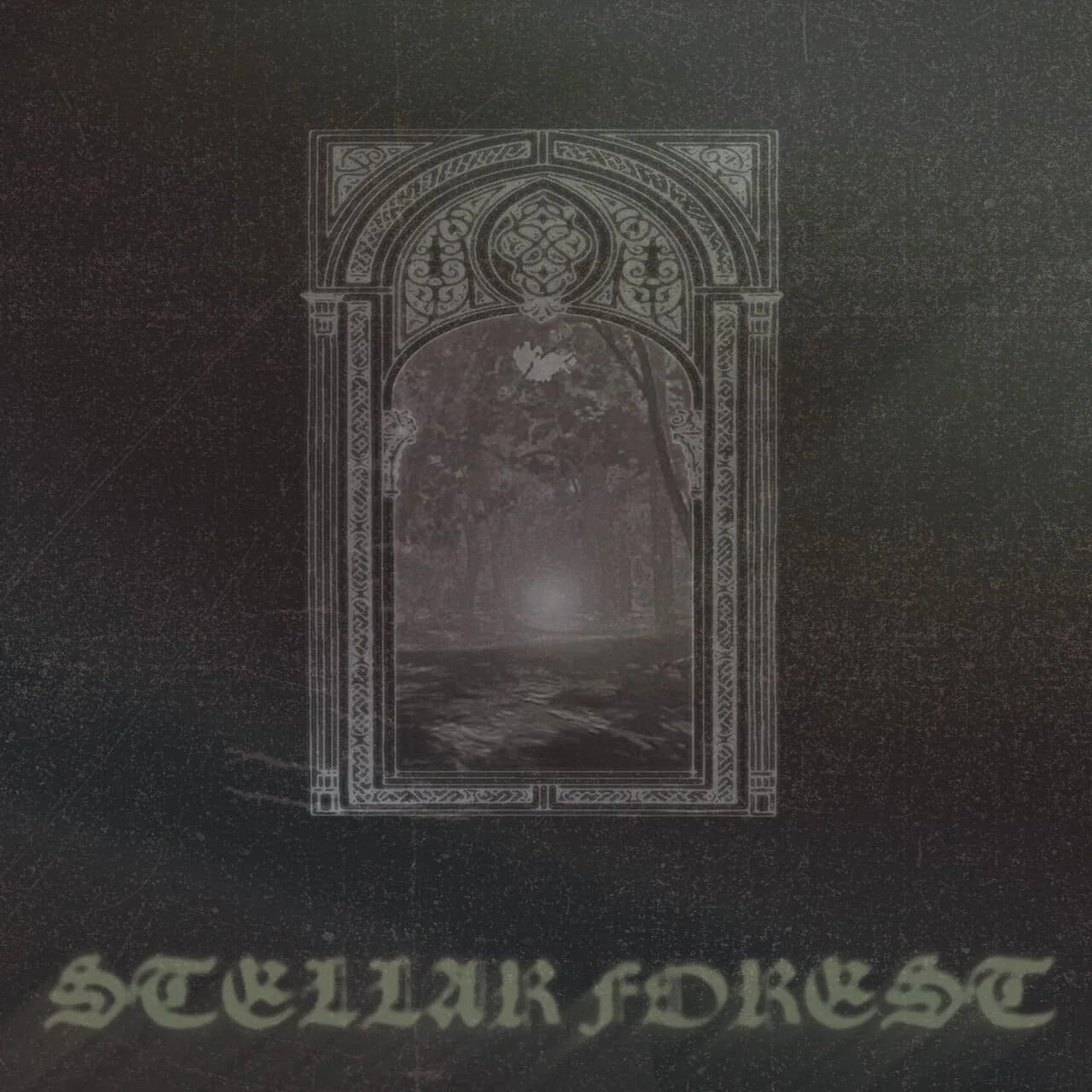 Stellar Forest cover