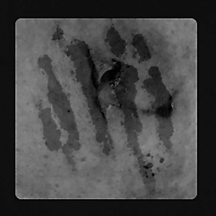 Kvar - Early Recordings Vol. No. 2 cover