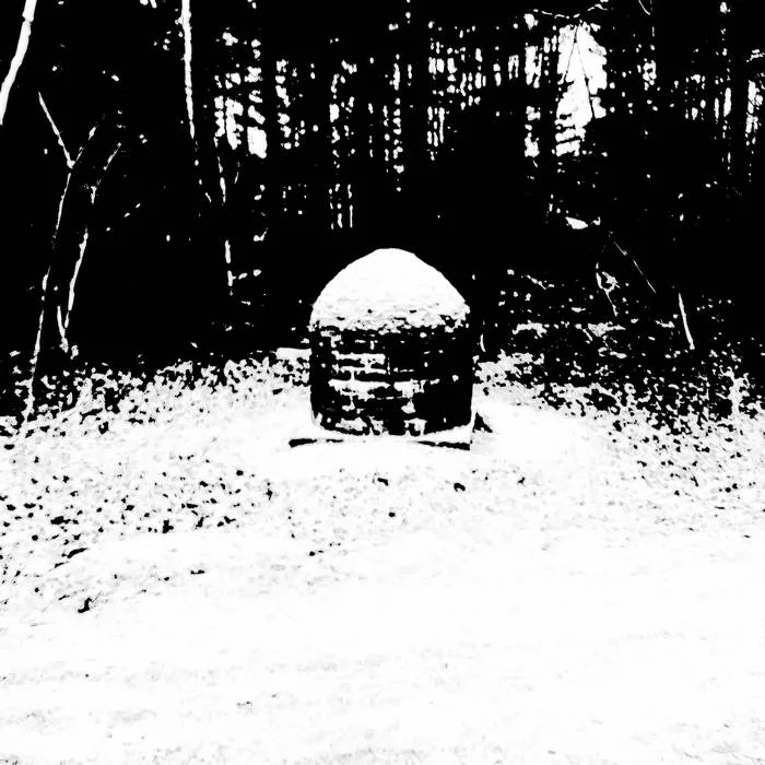 Bleak Winter Woods cover