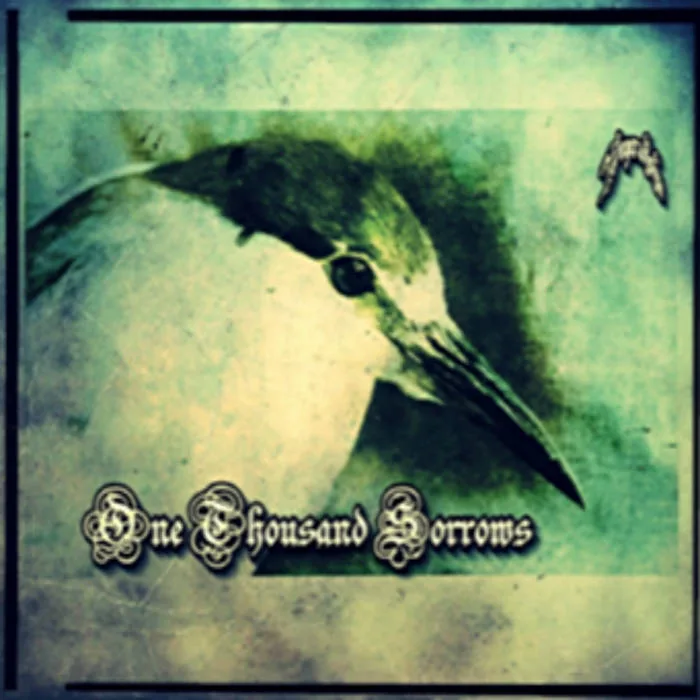 One Thousand Sorrows cover