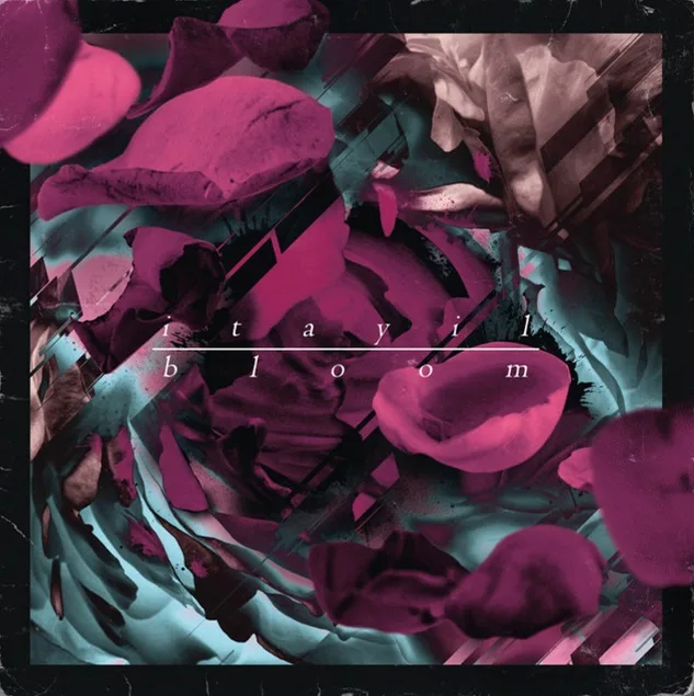 Bloom cover
