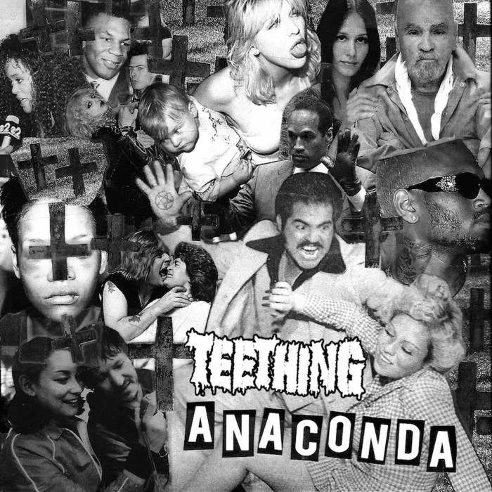 Anaconda cover
