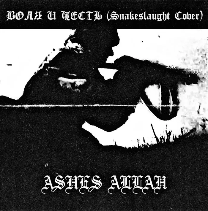 Воля И Честь cover