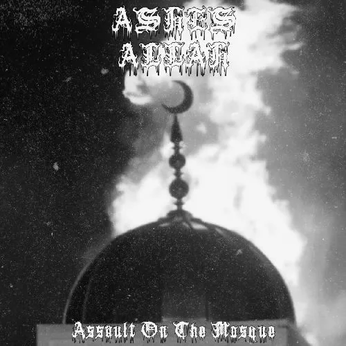 Assault on the Mosque cover