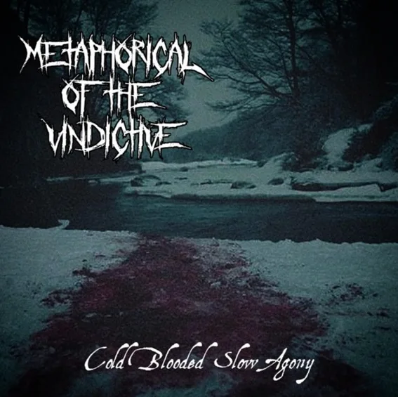 Cold Blooded Slow Agony cover