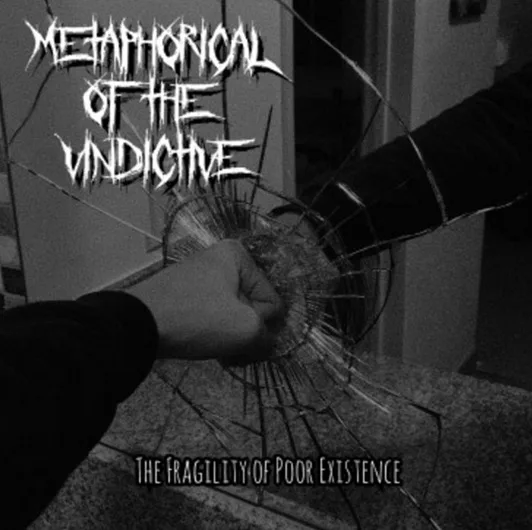 The Fragility of Poor Existence cover