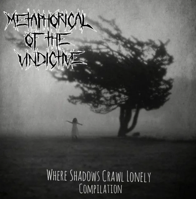 Where Shadows Crawl Lonely cover