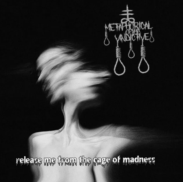 Release Me from the Cage of Madness cover