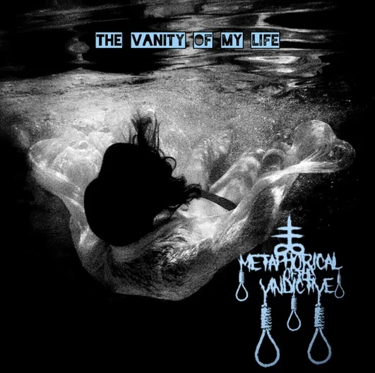 The Vanity of My Life cover