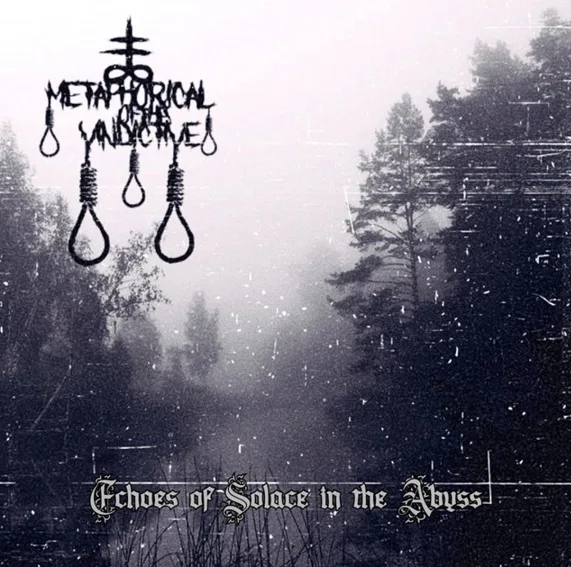 Echoes of Solace in the Abyss cover