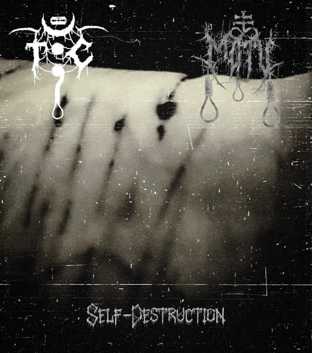 Self-Destruction cover