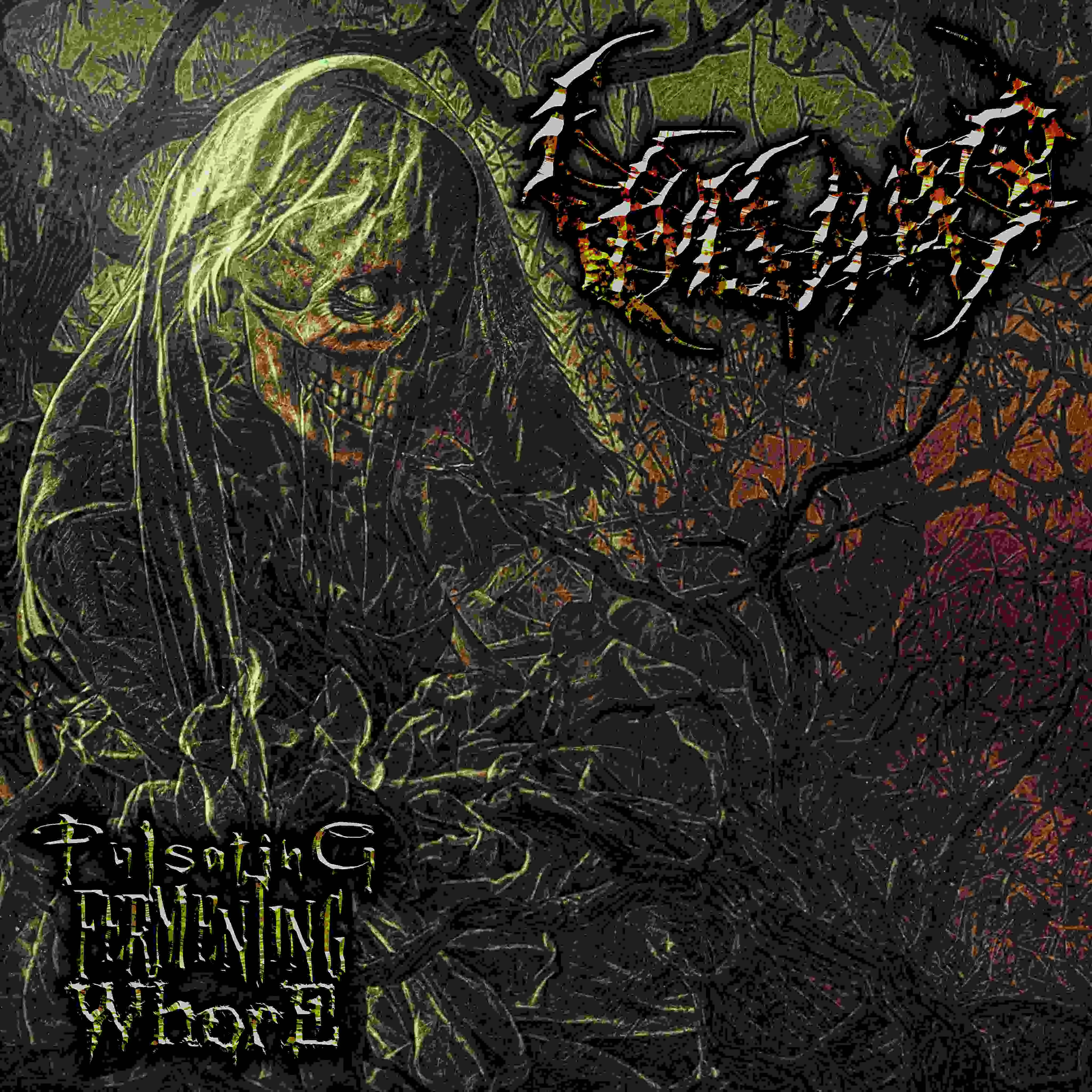 Pulsating Fermenting Whore cover