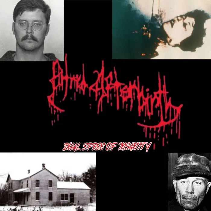 Dual Spree of Insanity cover