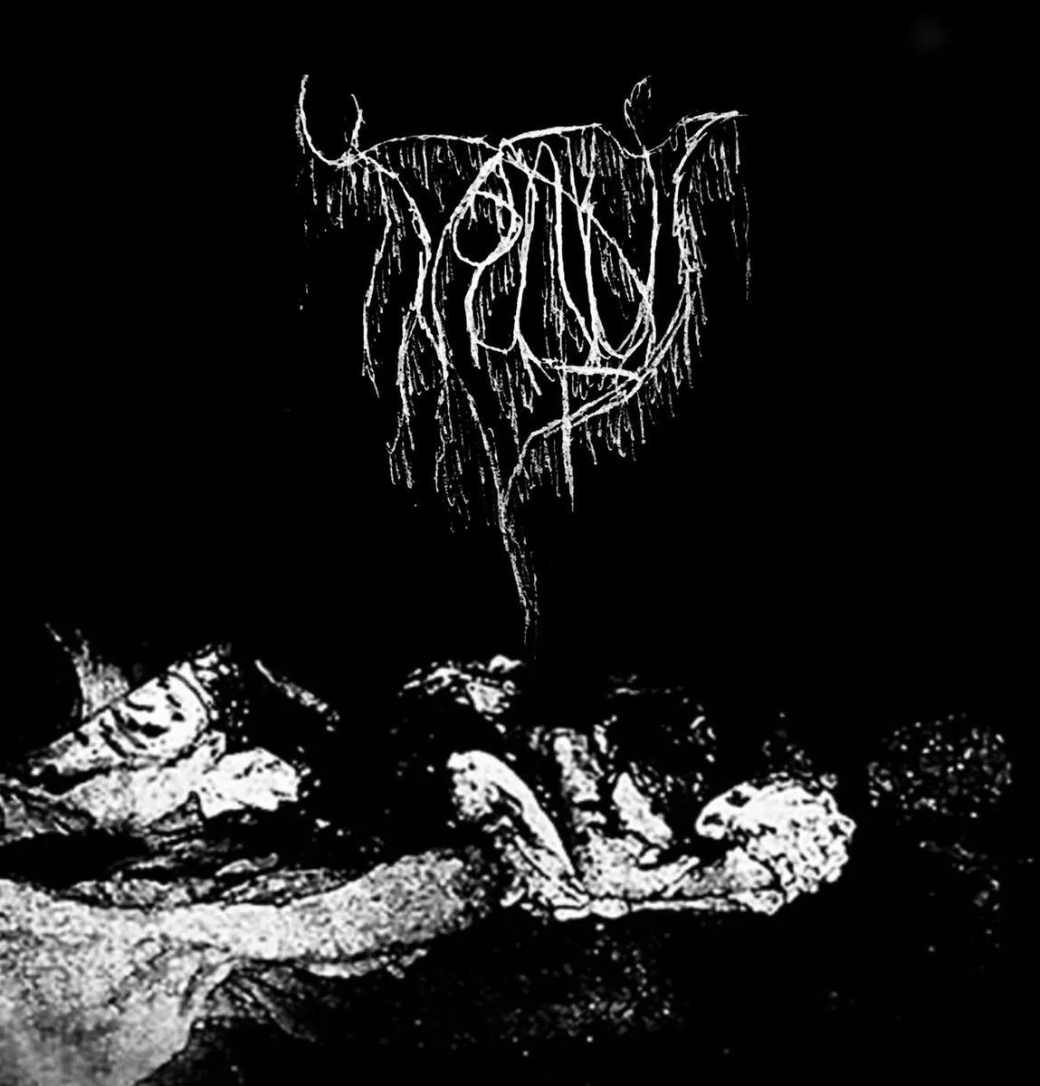 Victim V cover