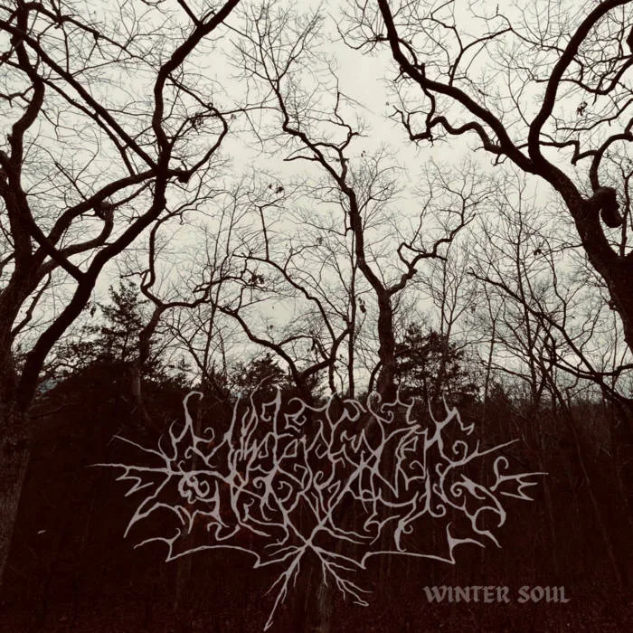 Winter Soul cover