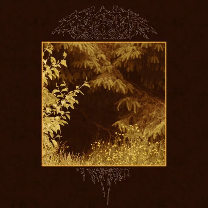 The Machine Exsanguinates Our Planet cover