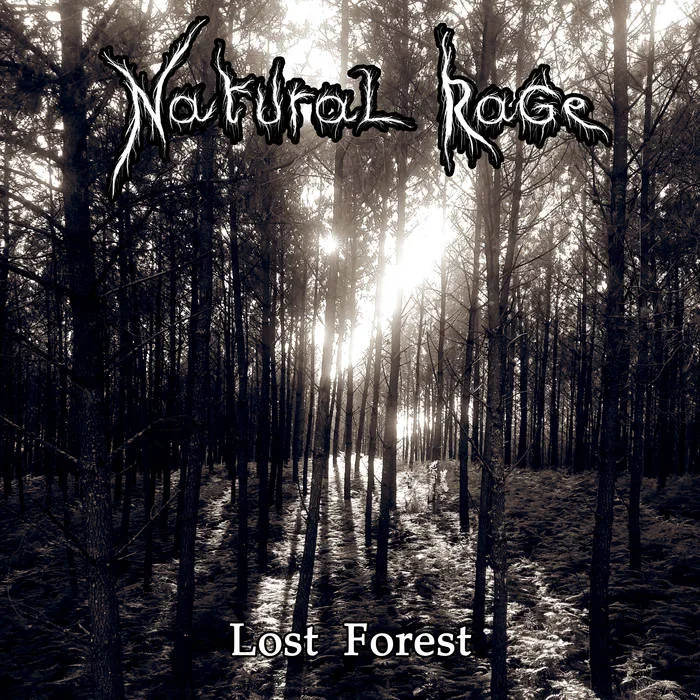 Lost Forest cover