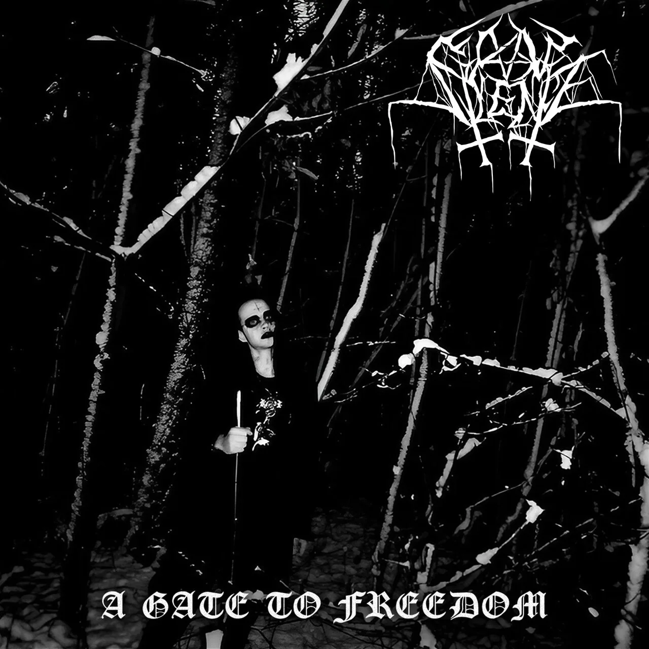 A Gate to Freedom cover