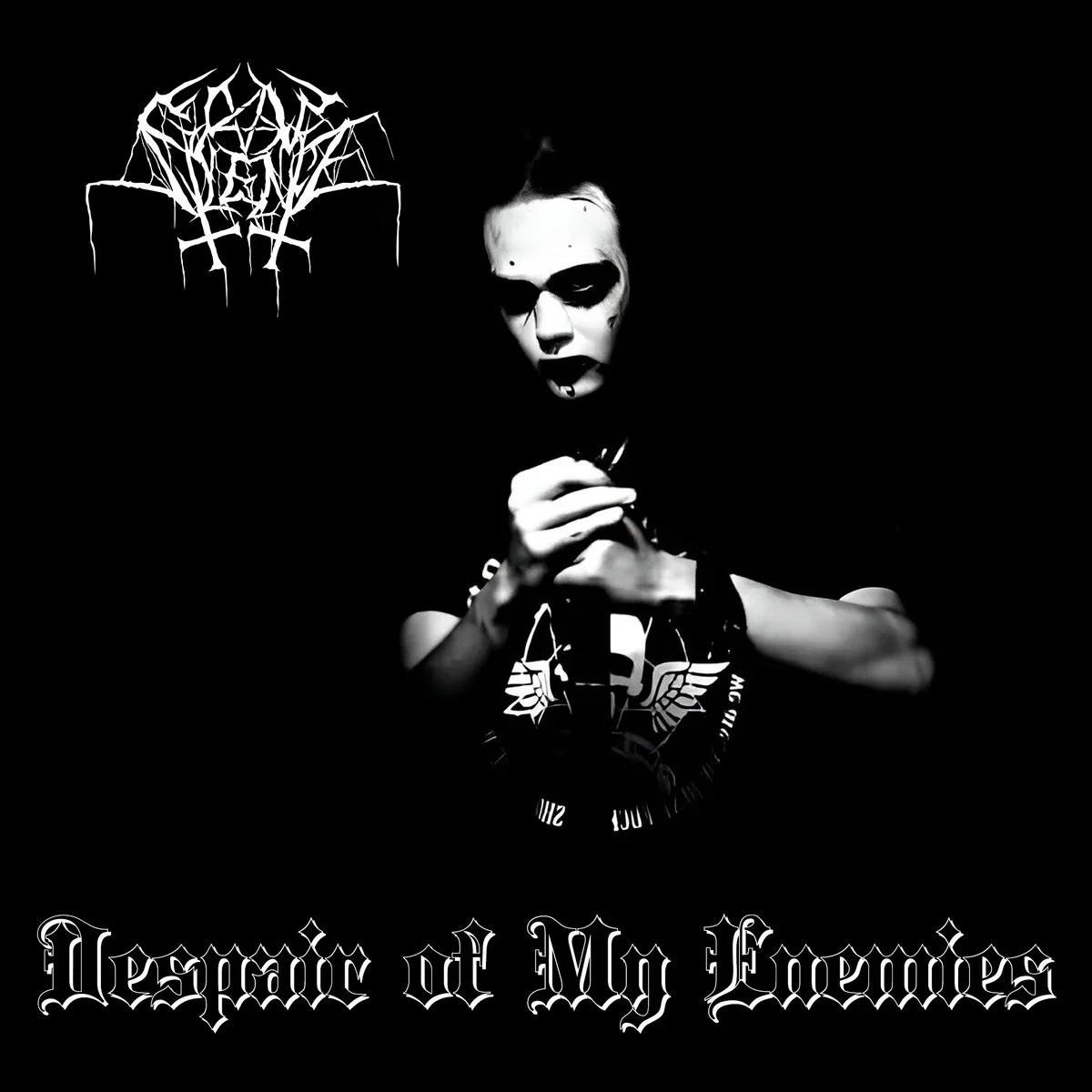 Despair of My Enemies cover