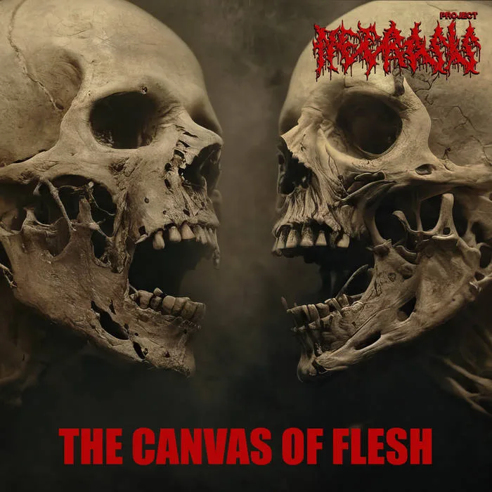 The Canvas of Flesh cover