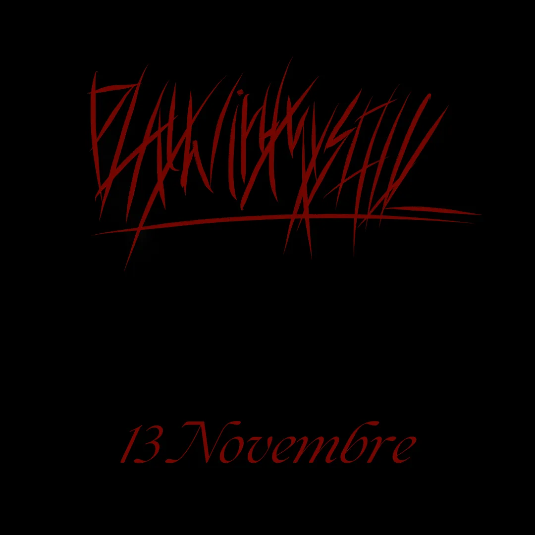 13 Novembre cover