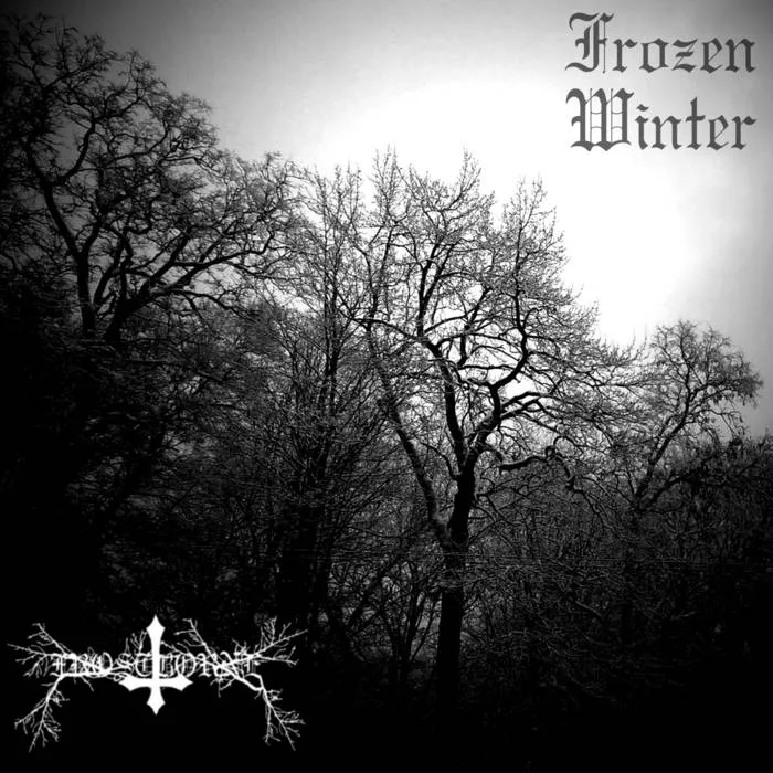 Frozen Winter cover